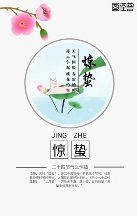 惊蛰节气简约桃花摄影手机海报