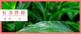 有书 伴你 更好一点 读书插画有书文艺简约公众号封面