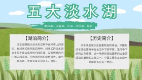 五大淡水湖电子报手抄报