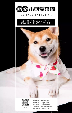 萌宠小可爱日签
