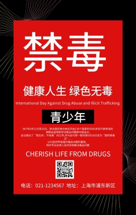 青少年禁毒法制暨心理健康简约海报