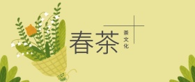春茶 茶文化 春茶春季茶叶促销公众号封面