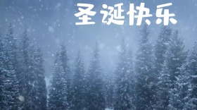 圣诞快乐公众号封面