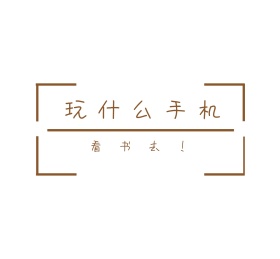 玩什么手机看书去