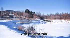 五谷杂粮图片PSD分层素材 黄豆 红豆