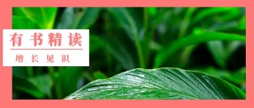 有书 精读 增长见识 读书插画有书文艺简约公众号封面
