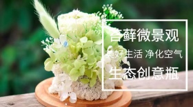 苔藓景观清新生态公众号封面模版