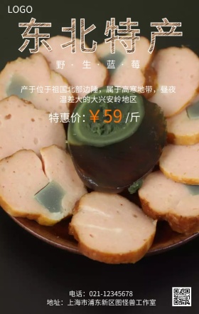 东北特产野生蓝莓特价促销海报