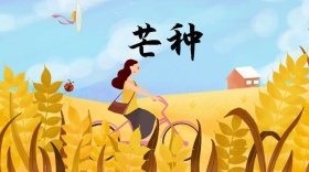 二十四节气之浓情夏季芒种公众号封面