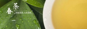 绿茶春茶节绿banner图片