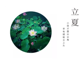 立夏二十四节气公众号配图