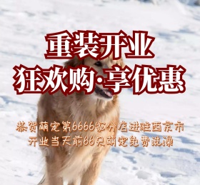 萌宠宠物可爱动物朋友圈封面