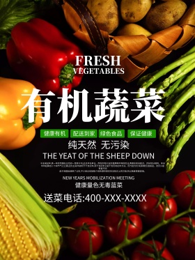 有机蔬菜宣传海报