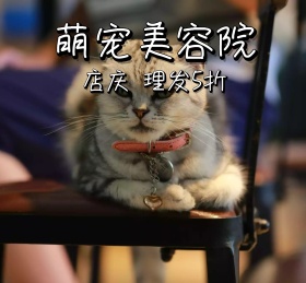萌宠美容院