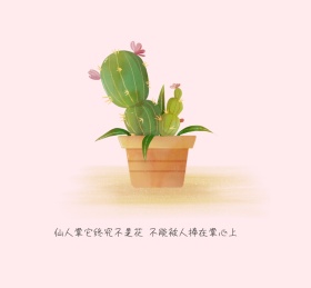 仙人掌终究不是花朋友圈封面