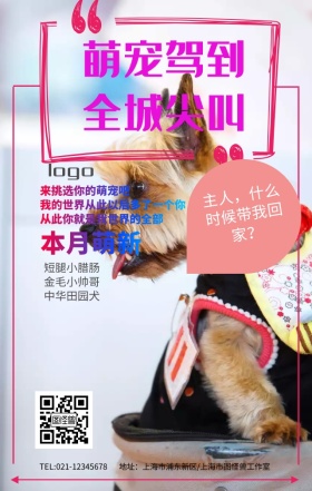 宠物之家萌宠促销活动可爱猫狗平面手机海报