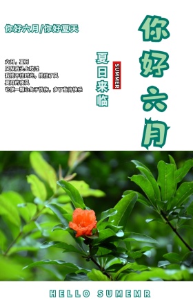 你好六月夏日来临简约文艺手机海报