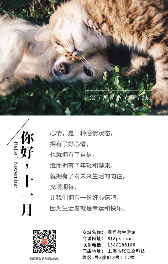 猫狗