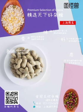上海市杂粮美食宣传流行海报