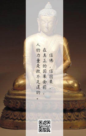 简约鸡汤佛系日签