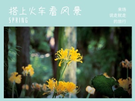 来场 看风景 的旅行 搭上火车 说走就走 SPRING 春天春季春游景色油菜花公众号配图