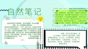 自然笔记手抄报绿色