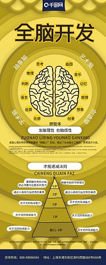 全脑开发
