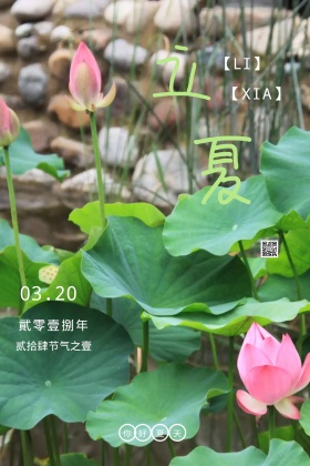 立夏贰拾肆节气公众号封面配图