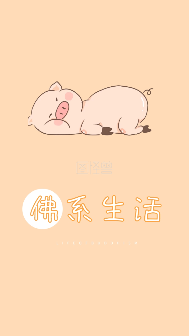 佛系生活 lifeofbuddhism 创意文字简约手机壁纸