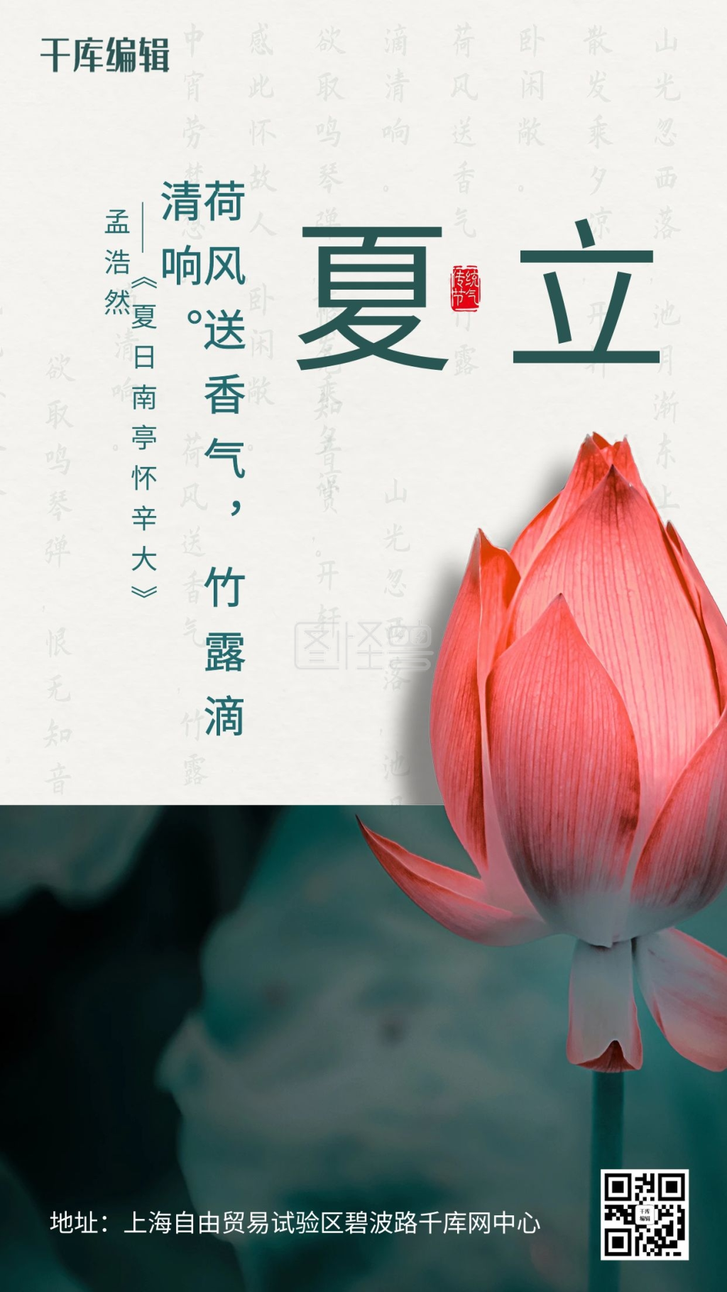 立夏荷花墨绿简约海报