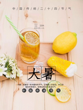 二十四节气之大暑节日海报