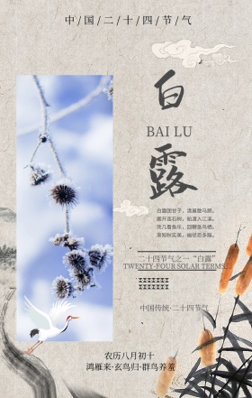 白露露水白色中国风手机海报