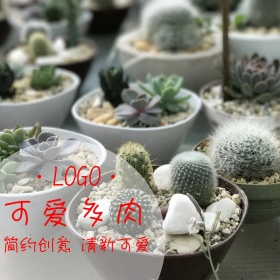 可爱可爱多肉促销清新创意淘宝主图