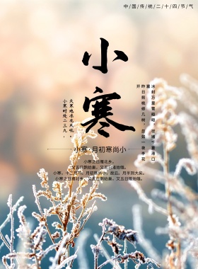 小寒节气宣传海报