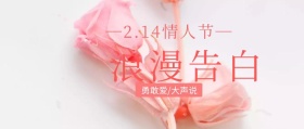情人节浪漫告白公众号封面