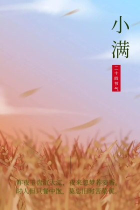 小满二十四节气谷物摄影清新公众号配图