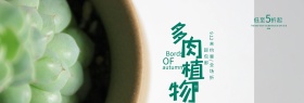 绿色文艺小清新多肉植物淘宝banner电商海报
