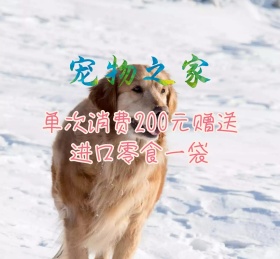 萌宠宠物可爱动物朋友圈封面