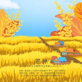 芒种金黄麦子公众号封面配图