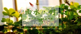 雨水节气公众号封面
