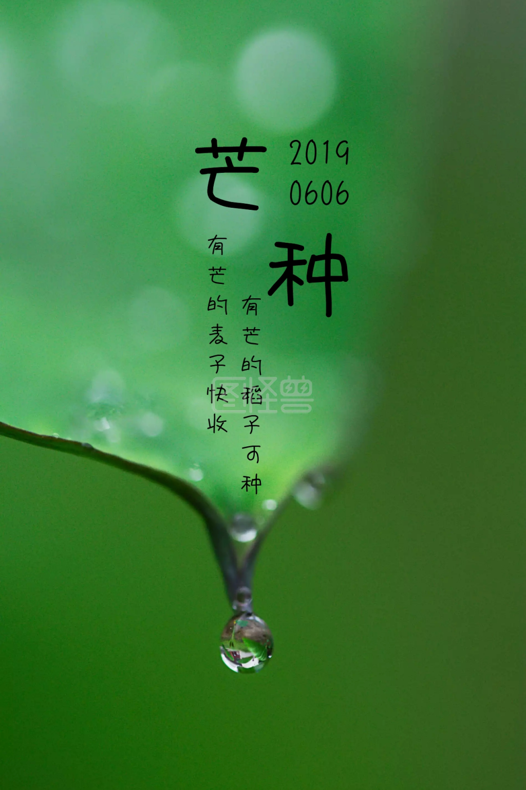 二十四节气之芒种微信公众号配图