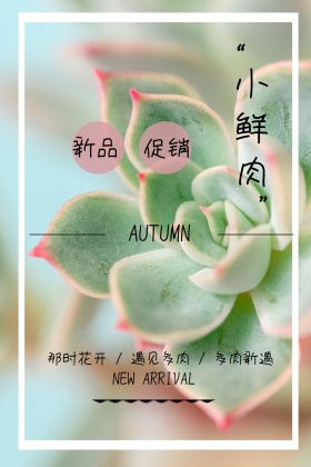 多肉植物活动促销公众号封面图模版