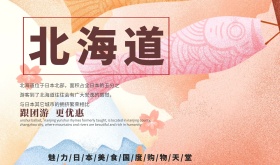 粉色背景简约浪漫日本北海道宣传海报