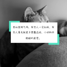 一见如故文艺小清新公众号正方形配图