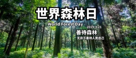 世界森林日绿色清新公众号封面