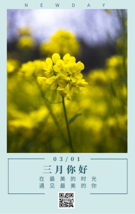 三月你好 03/01 NEWDAY 在最美的时光 遇见最美的你 三月你好日签