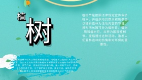 创意卡通大气扁平我们的节日植树节黑板报
