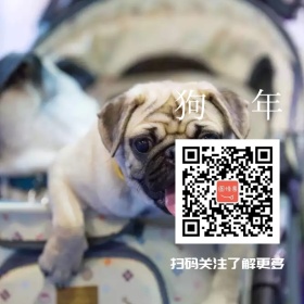 狗年宣传二维码