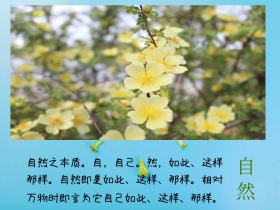 自然风景风景热带雨林简约绿色叶子横版配图