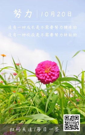 努力十月田野风车蓝绿日签